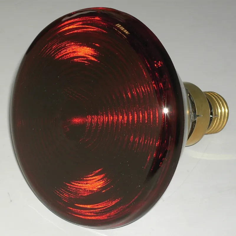 Ersatzlampe für Typ 240