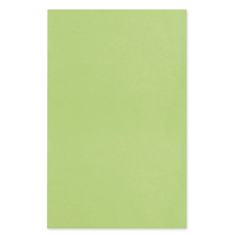 Dental-Trayeinlagen/-Filterpapier, 18 x 28 cm, limette (250 Blatt)