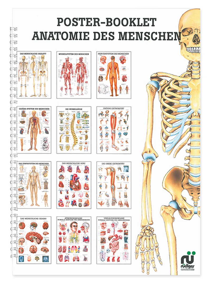 Mini-Poster Booklet: Anatomie