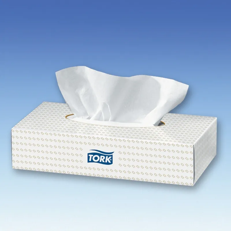 Tork Kosmetiktücher Tissue 2-lagig, hochweiß, 20 x 20,8 cm (30 x 100 Stck.)