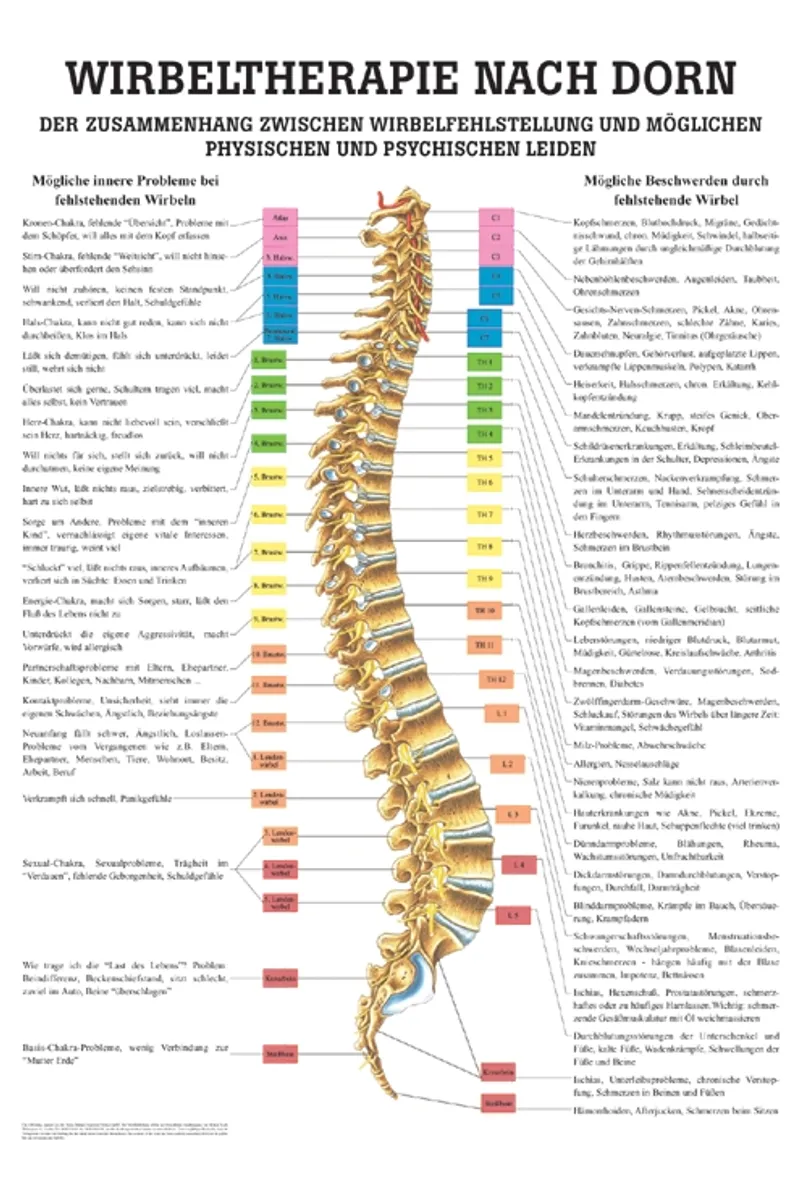 Anat. Mini-Poster: Dorn Therapie, 24 x 34 cm, laminiert