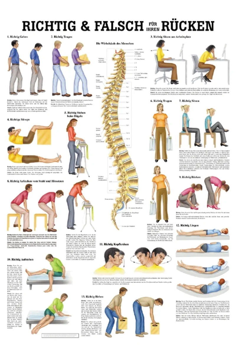 Anat. Lehrtafel: Richtig & Falsch für, Ihren Rücken 70 x 100 cm, laminiert
