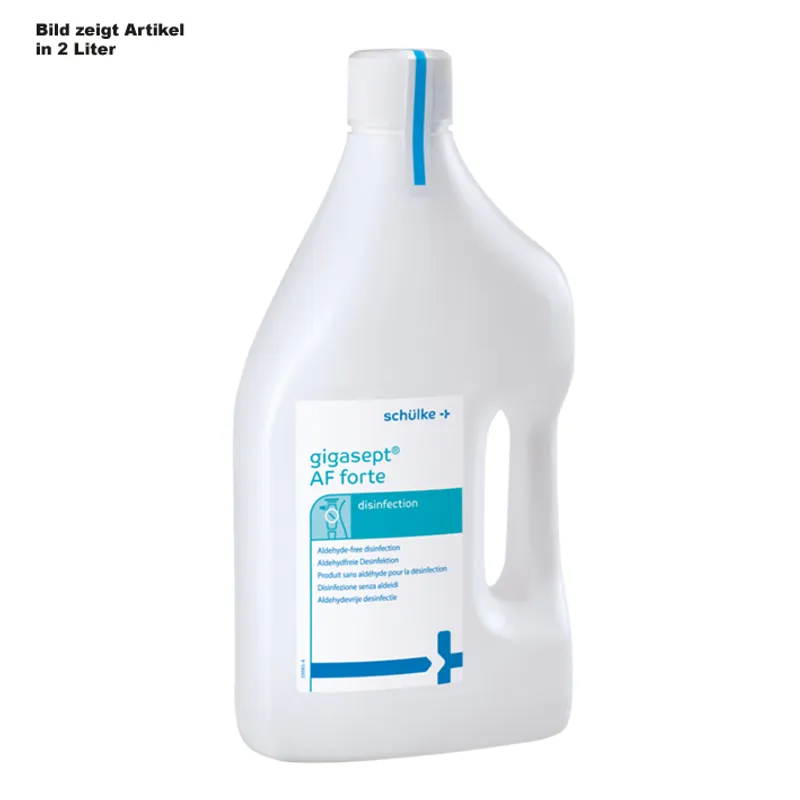 Gigasept AF forte 5 Ltr., Instrumentendesinfektion #70003413#